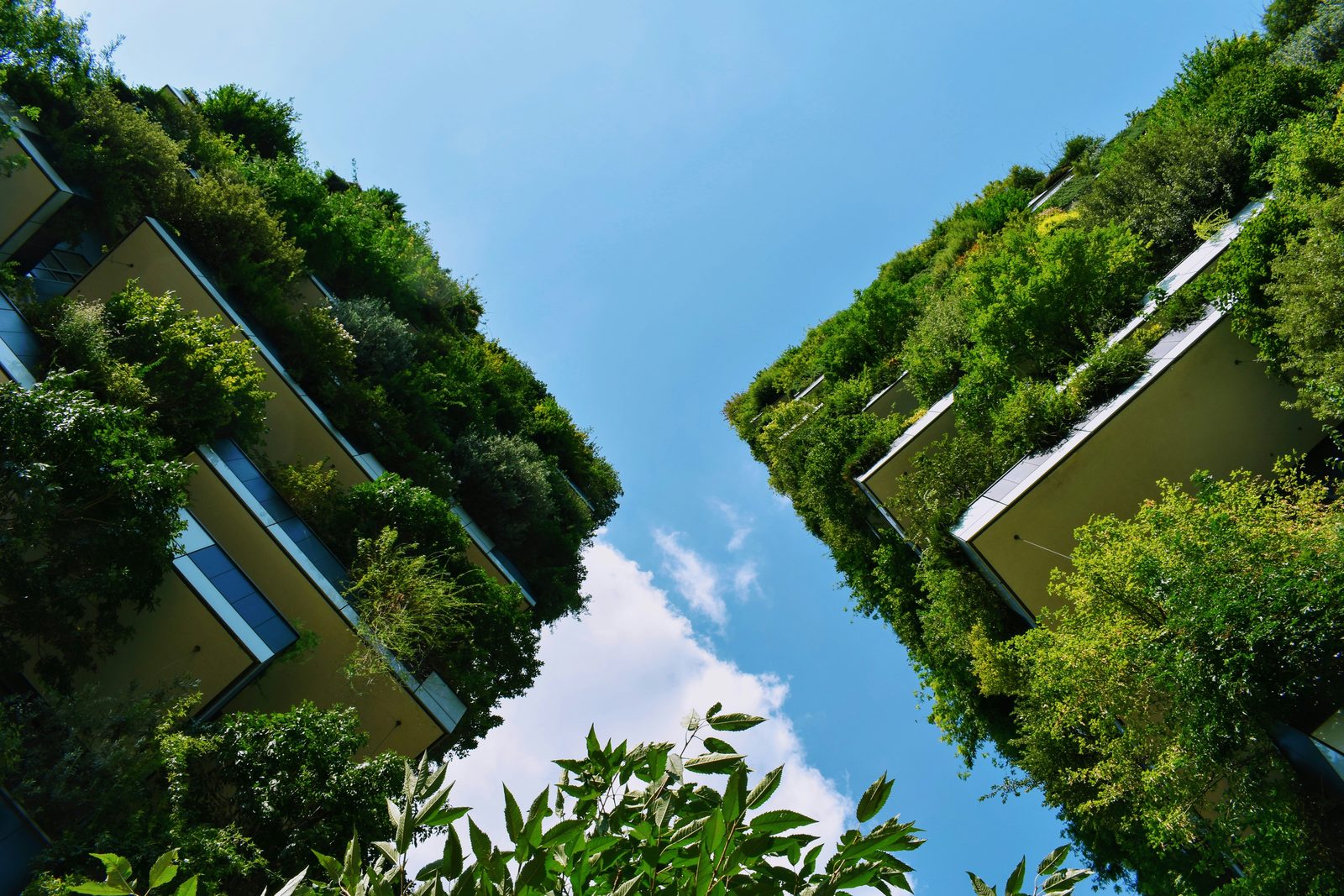 Two residential towers with dense green plant-covered fa&ccedil;ades seen from below against a blue sky
